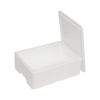 EPS termobox 7 L, 400 x 300 x 110 mm