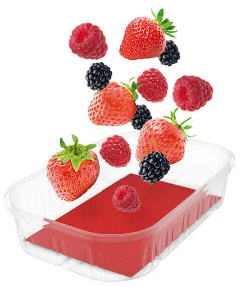 Absorptiemat Fruit - Diverse Formaten (10 Stuks)